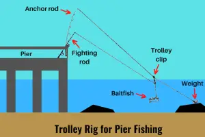 Best Pier Fishing Rigs Setup Fishing Guide W Pictures