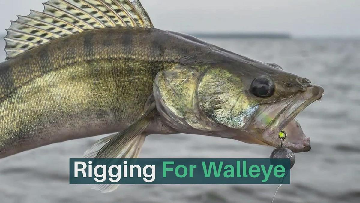 'Video thumbnail for Rigging For Walleye'