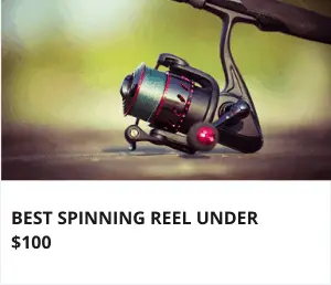 Best spinning reel under 100