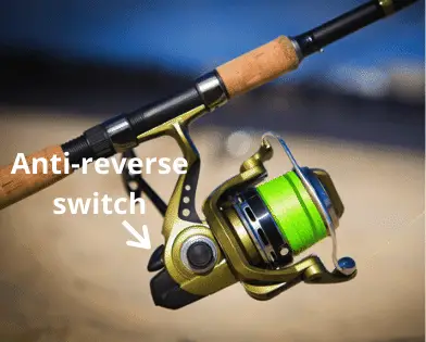 Photo of spinning reel with the anti-reverse switch labelled