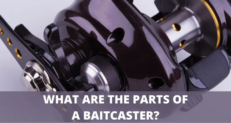 Baitcaster Reel Parts Explained | How They Work & How To...