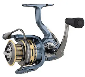 Pflueger President