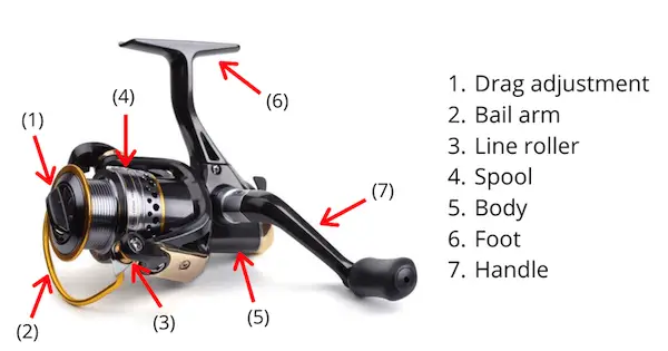 Photo of a spinning reel with its parts labelled