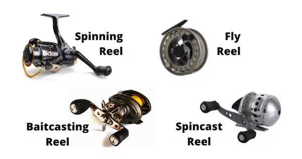 Types Of Fishing Reels & How To Use Them