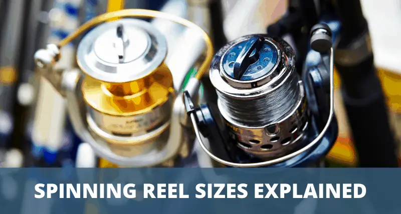 spinning-reel-sizes-how-to-choose-the-right-reel-size