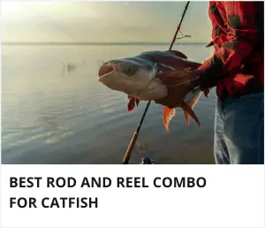 Best rod and reel combo for catfish