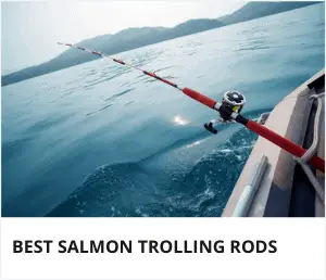 salmon trolling combo