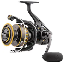 Photo of Daiwa BG