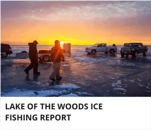 Lake of the woods ice fishing report
