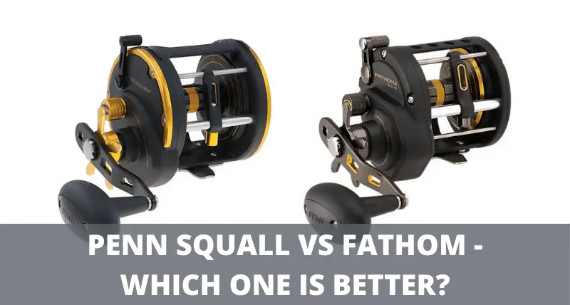 Penn squall vs fathom