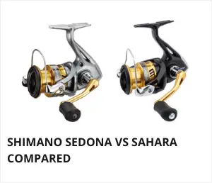 Shimano Sedona vs Sahara