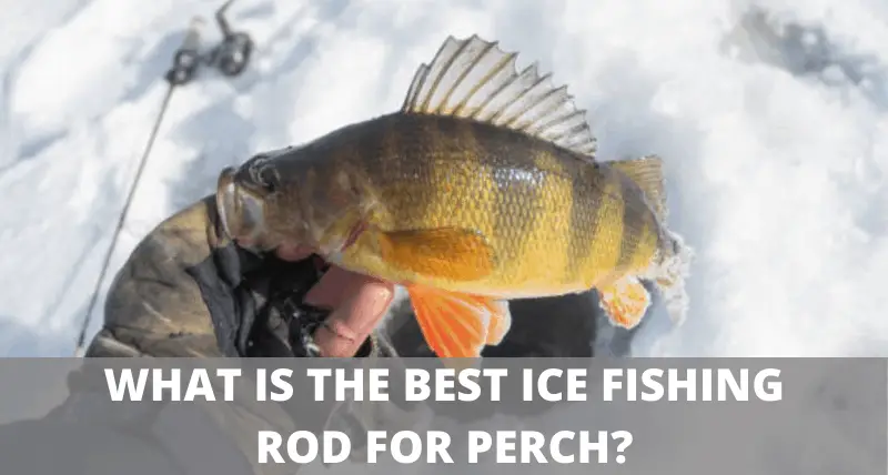 Best Ice Fishing Rods For Perch 2021 Review - Best Ice Fishing Spinning Reel For Walleye