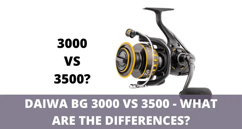 daiwa bg 8000 test