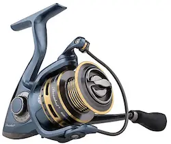 Pflueger President