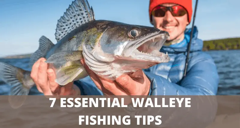 7 Essential Walleye Fishing Tips That Most Beginners Don T Know - Best Hook Size For Walleye Fishing