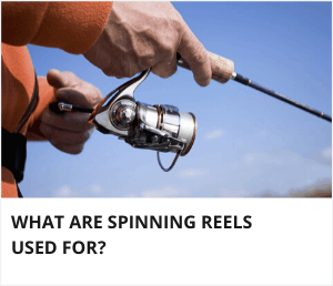 What are spinning reels used for