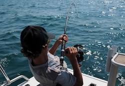 yacht fishing rods