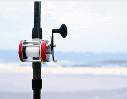 yacht fishing rods