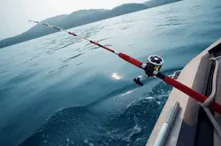 yacht fishing rods