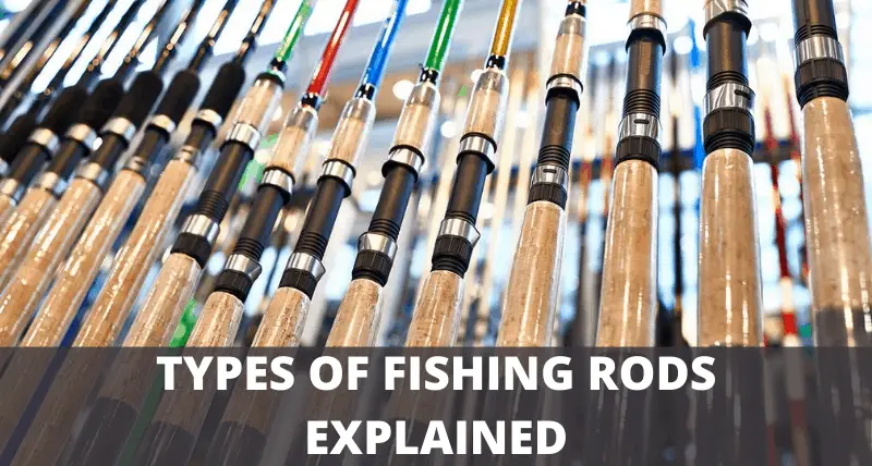 types-of-fishing-rods-everything-you-need-to-know