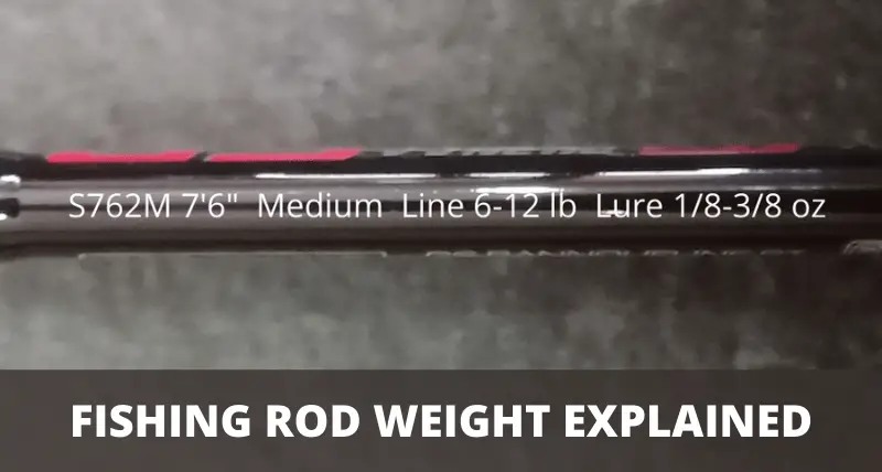 Fishing Rod Weight Explained (for Beginners)