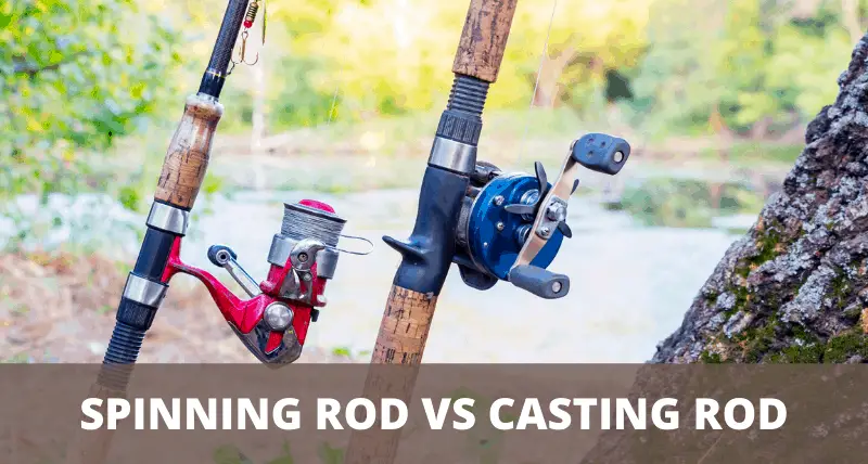 Spinning Rod Vs Casting Rod Explained | Sport Fishing Buddy