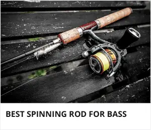 best spinning rod for bass