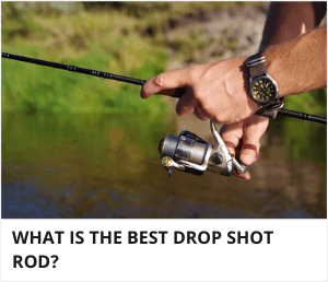 Best drop shot rod