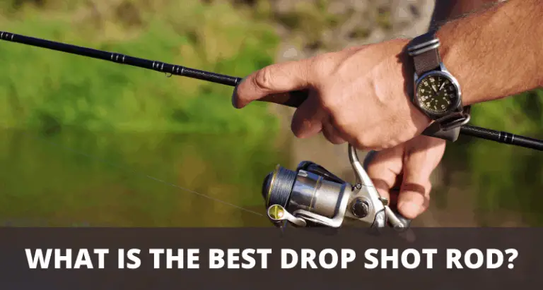 best rod action for drop shot fishing