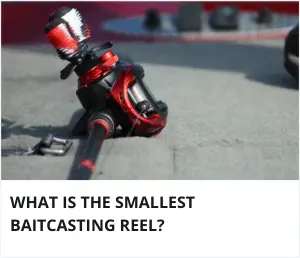 Smallest baitcasting reel