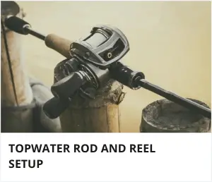 Topwater rod and reel setup