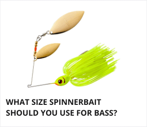 What size spinnerbait for bass