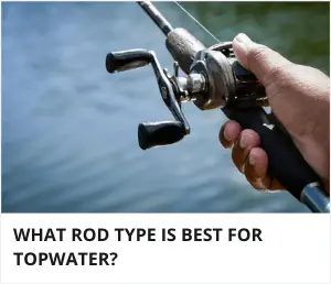 What type of rod is best for topwater