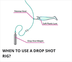 When to use a drop shot rig