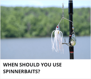 When to use spinnerbait