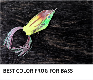 Best color frog for bass fishing