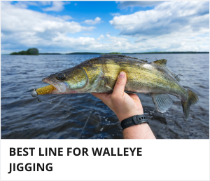 Best line for walleye jigging