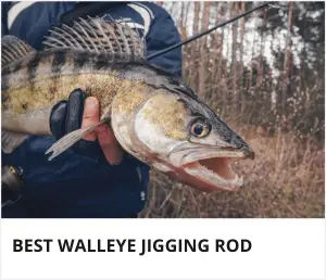 Best walleye jigging rod