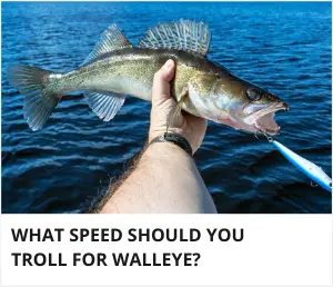 Walleye trolling speed