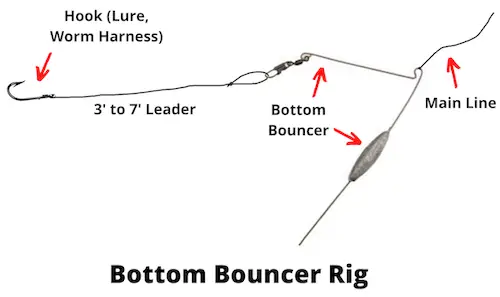 worm harness bottom bouncer