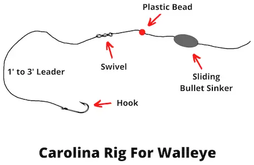 Carolina rig for walleye diagram