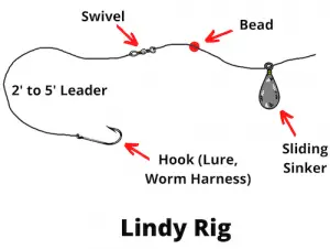 Rigging For Walleye (7 Rigs You Need To Know)