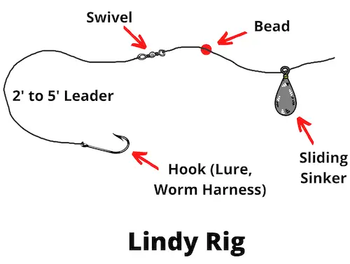 Lindy Rig