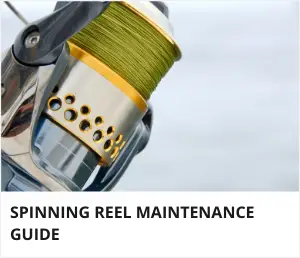 Spinning reel maintenance