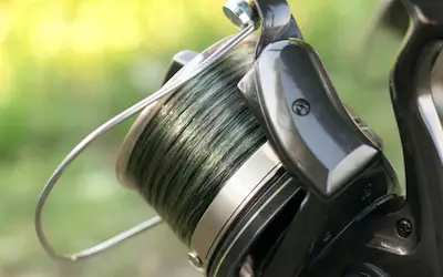 Spinning reel problems