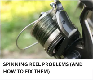 spinning reel not reeling in