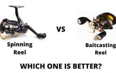 Baitcaster vs spinning reel