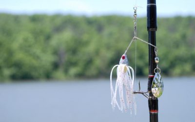 When to use spinnerbait