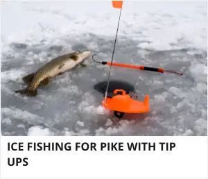 Tip up fishing for pike