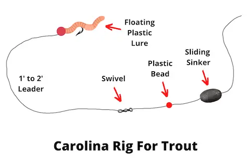 Carolina rig for trout